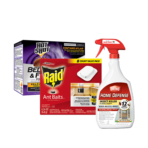 Insect & Pest Control